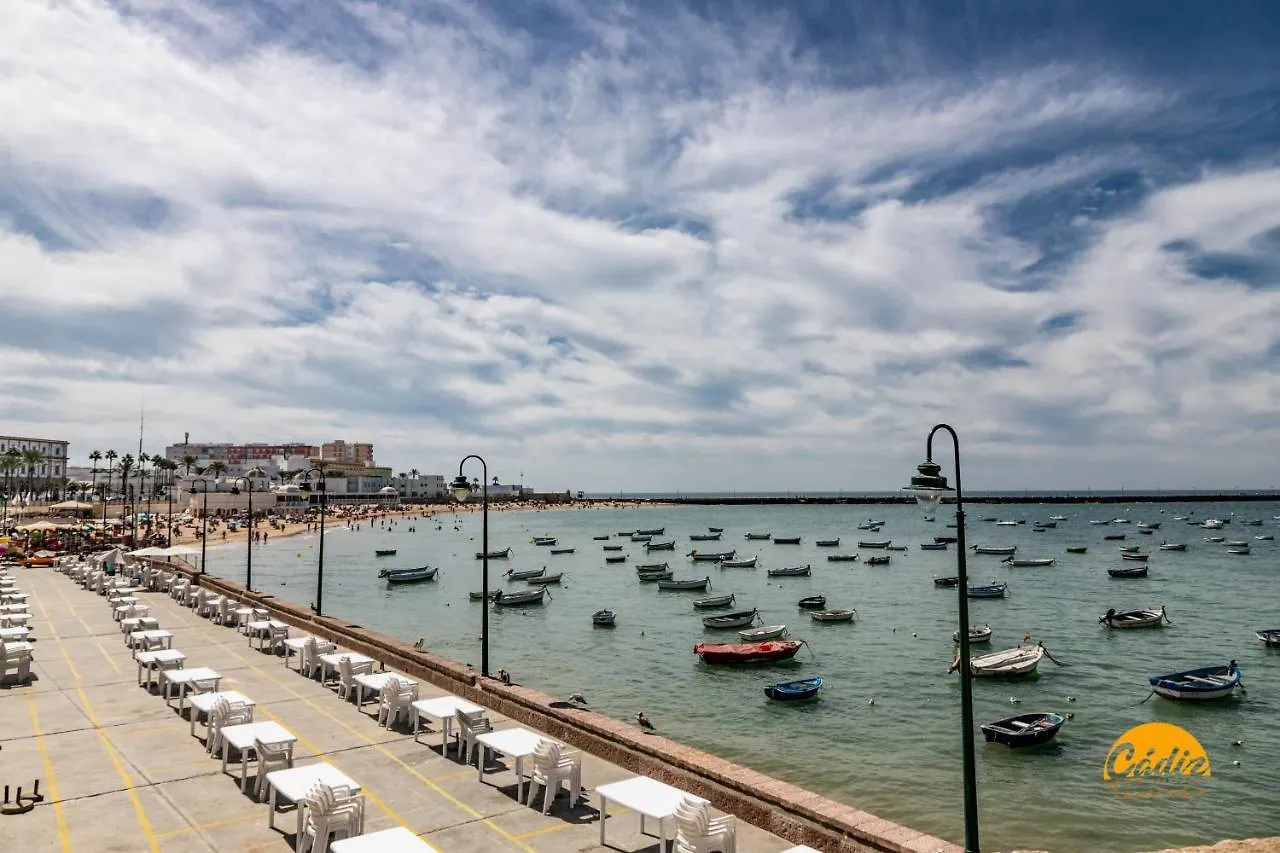Apartment Ferienwohnung Malibu By Cadiz Time
